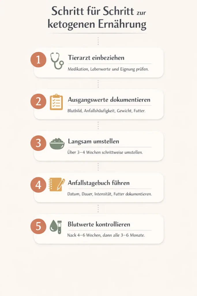 Infografik zu Umstieg auf ketogene Ernährung für Hunde mit Epilepsie