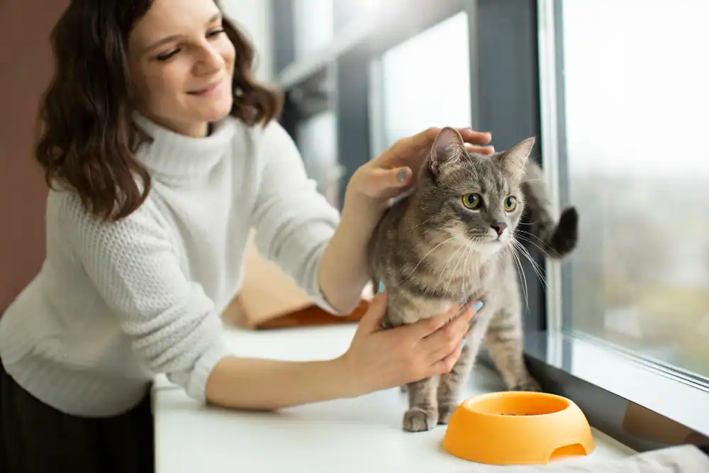 Frau streichelt Katze nach Emepridgabe