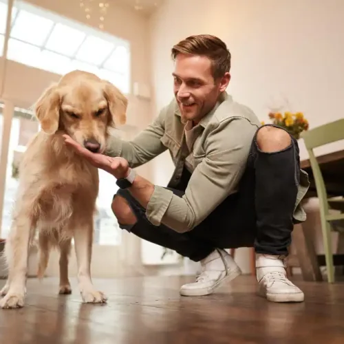 Thuja-Globuli für Hunde: Dosierung, Warzen & Impfbegleitung